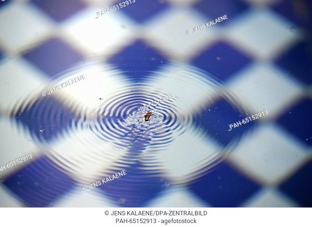 A bee swims on the water surface of a fountain that is decorated with blue and white tiles. Photo: Jens Kalaene - NO WIRE SERVICE - | usage worldwide