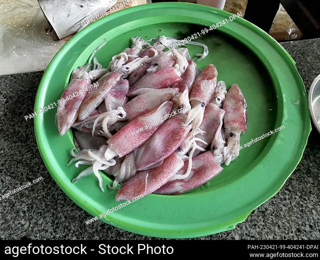 02 March 2023, Vietnam, Hoi An: Octopus lie for sale on tables at the market in Hoi An. Photo: Alexandra Schuler/dpa. - Hoi An/Vietnam