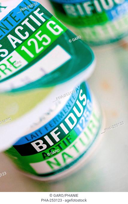 Yogurt with Bifidus Regularis