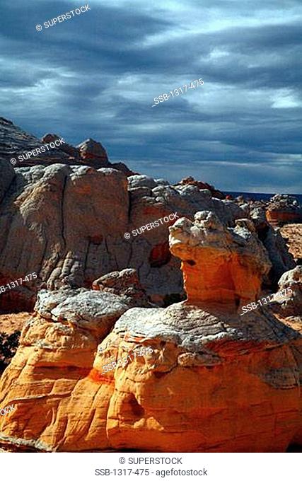 Sandstone formations, White Pockets, Paria Plateau, Arizona, USA