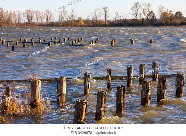 Very strong gale force winds whipping up waves on a normally sheltered inlet in Steveston British Columbia Canada