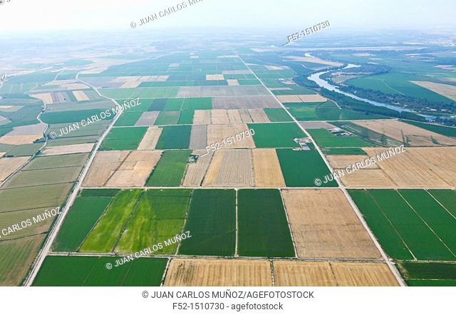 Agricultural landscape  Ebro River  Zaragoza Province, Aragon, Spain, Europe