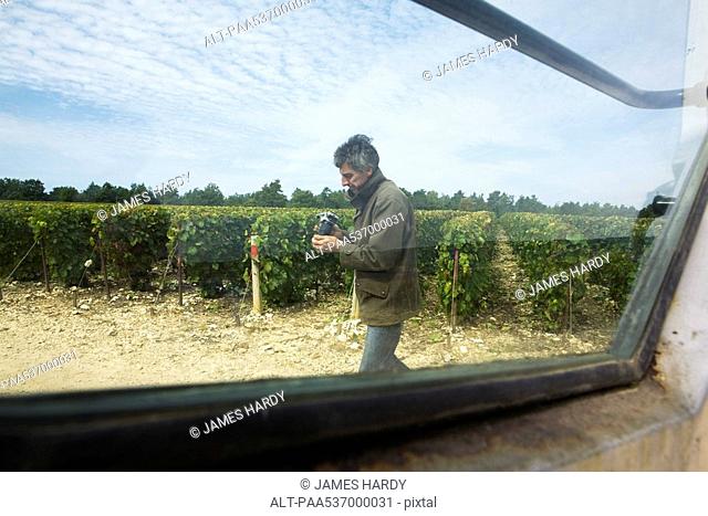 France, Champagne-Ardenne, Aube, man walking in vineyard, holding camera, viewed through window