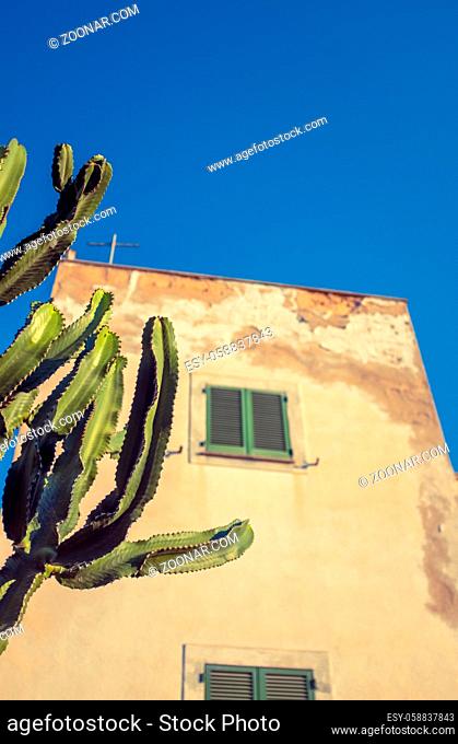 A Grungy Traditional Spanish Or Mexican Style Home On A Bright Sunny Day With A Cactus In The Foreground