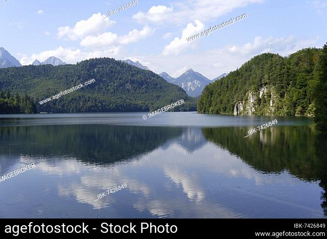 Alpsee, Hohenschwangau, Schwangau, Bavaria, Germany, Europe