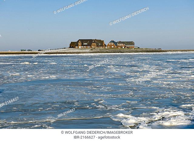 Frozen North Sea with Warf Hilligenley on Hallig Langeness, holm, North Frisia, Schleswig-Holstein, Northern Germany, Germany, Europe