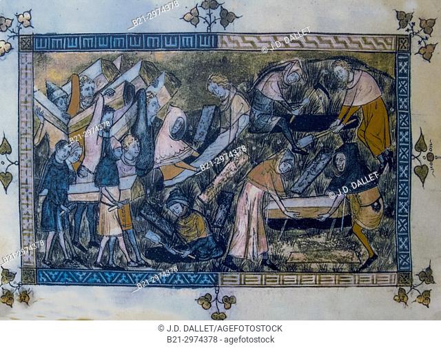 France, The Black Death was one of the most devastating pandemics in human history, resulting in the deaths of an estimated 75 to 200 million people in Eurasia...