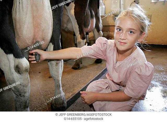Amish Farm Tour, girl, barn, milking cows, stalls. Shipshewana. Indiana. USA