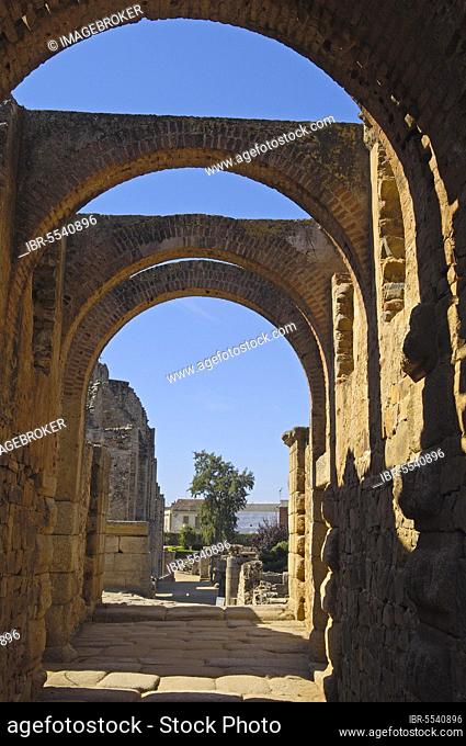 Roman Amphitheatre, Merida, UNESCO World Heritage Site, Badajoz Province, Extremadura, Ruta de la Plata, Spain, Europe