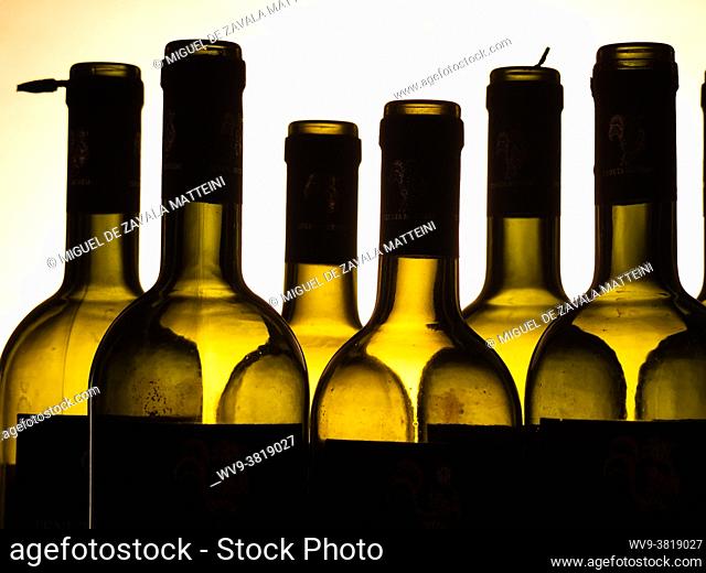 Empty wine bottles lined up