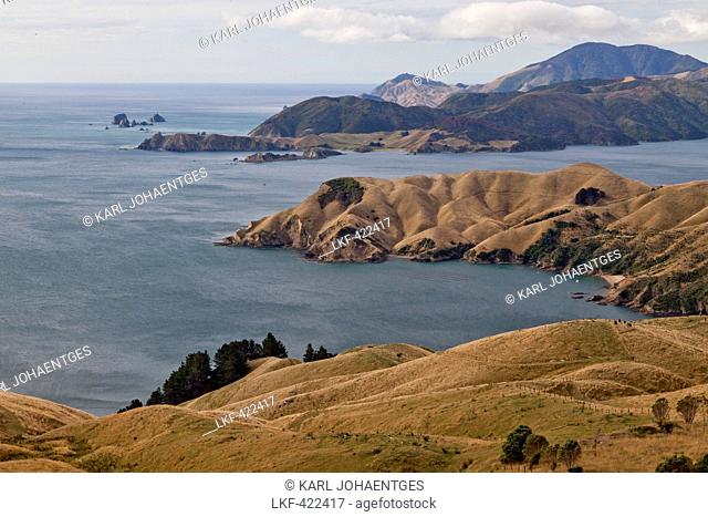 View of peninsulas at the French Pass, Marlborough Sounds, South Island, New Zealand