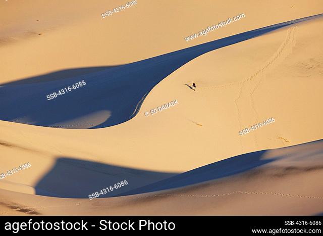 USA, California, Death Valley National Park, Eureka Valley Dune Field, Man traversing large dune