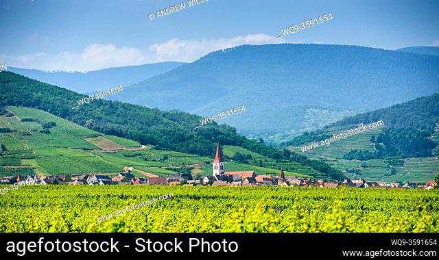 The village of Ammerschwihr, Alsace, France - surrounded by vineyards with the Vosges Mountains in the distance