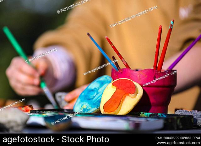 05 April 2020, Saxony, Dresden: In the focus in the foreground there is a violet water vessel with brushes. In front of the water vessel there are potatoes cut...