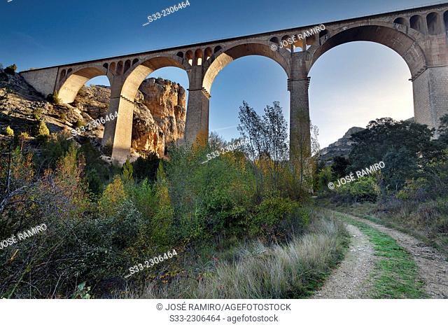 Viaduct in the Riaza Canyon Natural Park. Montejo de la Vega de la SerrezuelaSegovia. Castilla Leon. Spain. Europe