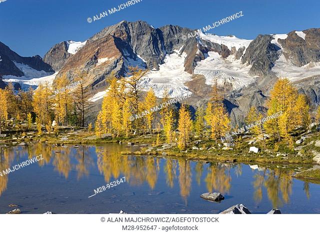 Mount Macbeth 10020 ft 3054 m and alpine larches Larix lyallii reflected in tarn at Monica Meadows, Purcell Mountains British Columbia