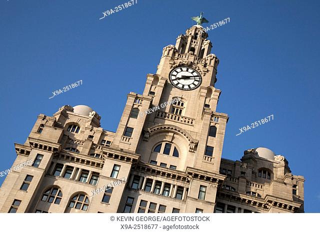 Royal Liver Building by Thomas (1908); Pier Head; Liverpool; England; UK