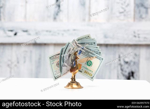 Money bird on table. American dollars banknotes isolated over white background in studio. Much money of dollars