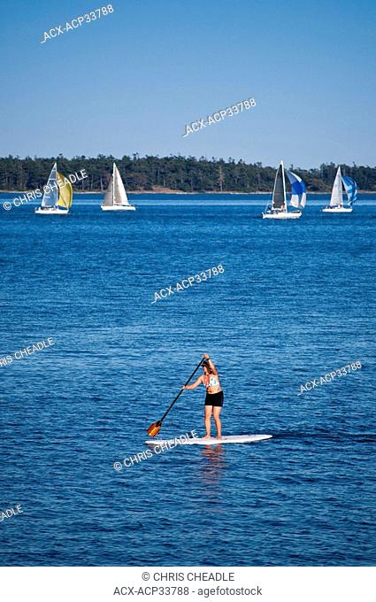 Paddleboarder and Sailboats with spinnakers from Royal Victoria Yacht Club, Victoria, British Columbia, Canada