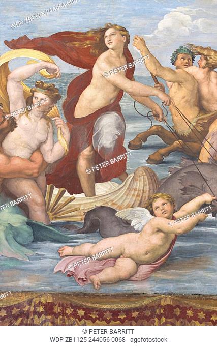 Detail of Triumph of Galatea, by Raphael, 1512, Villa Farnesina, Rome, Italy, Europe