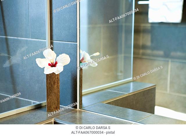 Hibiscus flower in vase in shower room