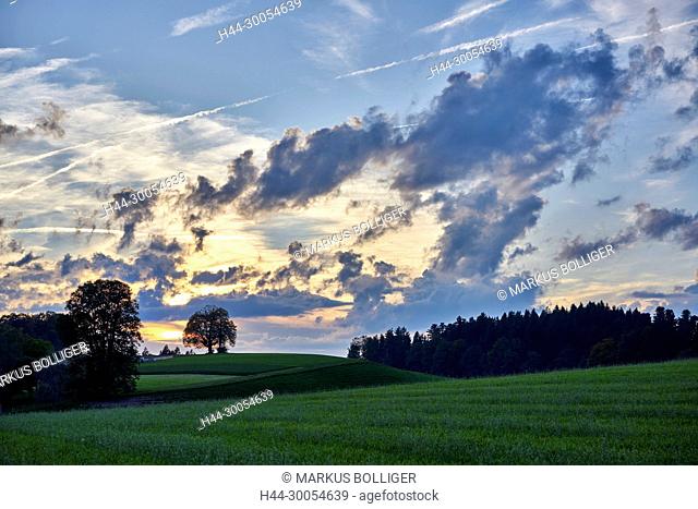 Scenery, Emmental, sky, clouds, field, meadow, wood, evening, evening sun