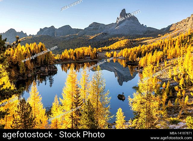 Lago Federa in golden autumn