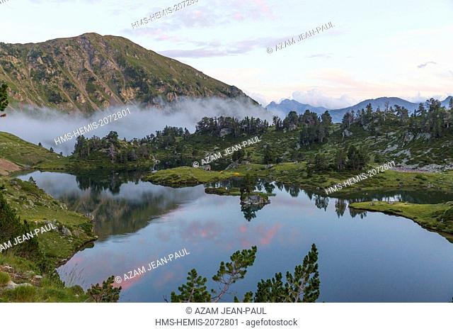 France, Hautes Pyrenees, Aragnouet, Neouvielle natural reserve, Aure valley, Bastan lake