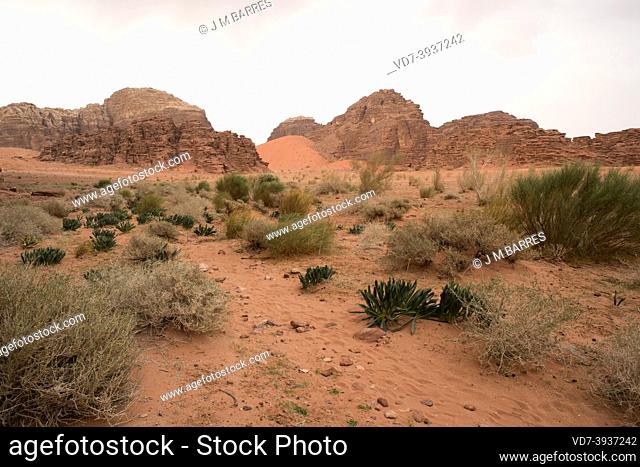 Wadi Rum or Valley of the Moon (UNESCO World Heritage). Sandstone mountains and desert. Jordan