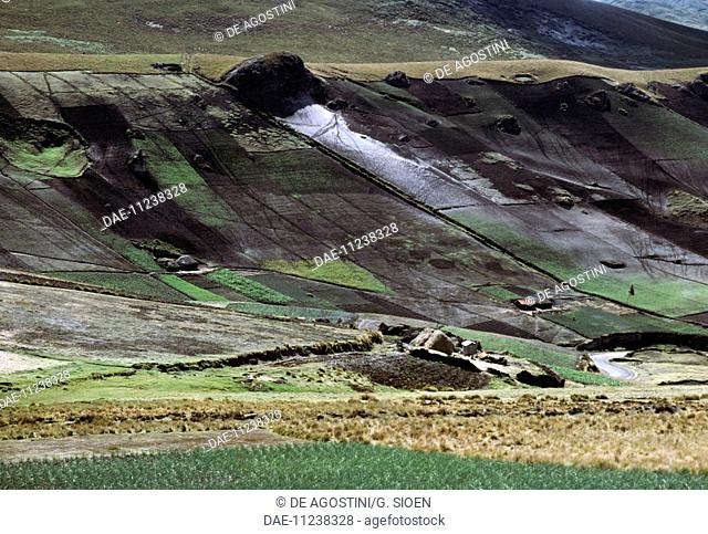 Landscape with cultivation in Cotopaxi province, Ecuador