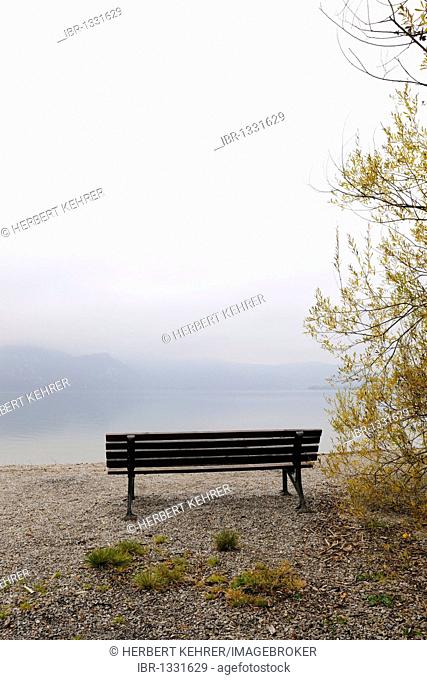 Bench at the Kochelsee lake, Upper Bavaria, Bavaria, Germany, Europe