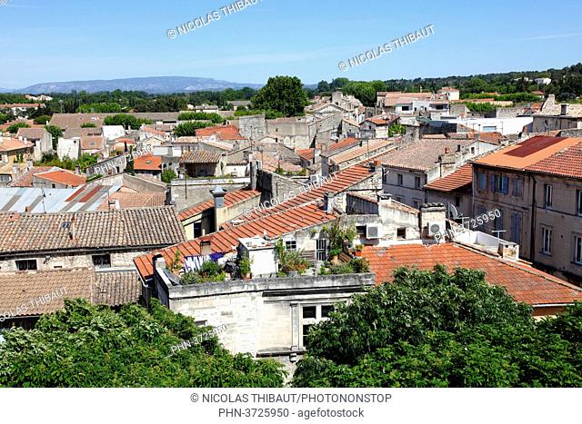 France, Provence Alpes Cote d'Azur, department of Bouches du rhone, Alpilles area, Saint Remy de Provence