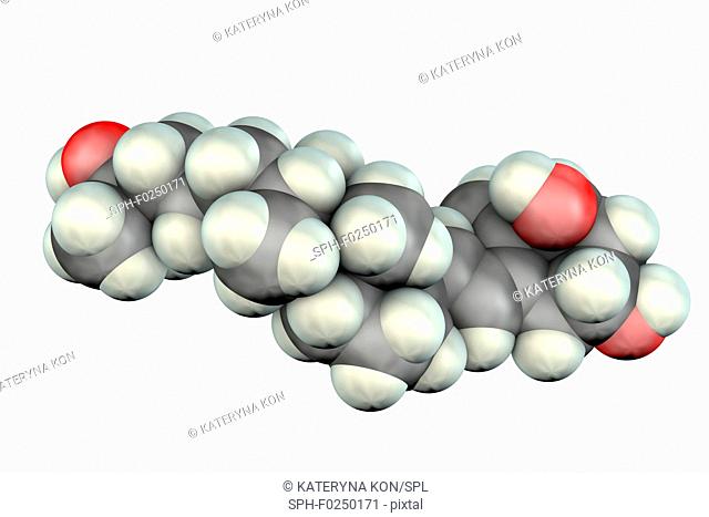 Calcitriol, molecular model