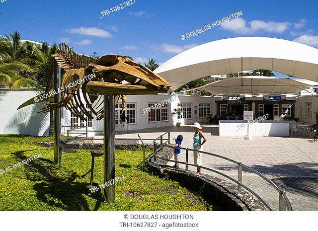PUERTO CALERO LANZAROTE Mother and child looking at whale skeleton outside Whale and Dolphin Museum