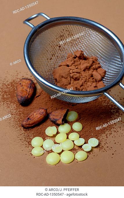 Kakaopulver in Sieb und Kakaobohnen, Theobroma cacao, Kakao, Schokoladenzutat