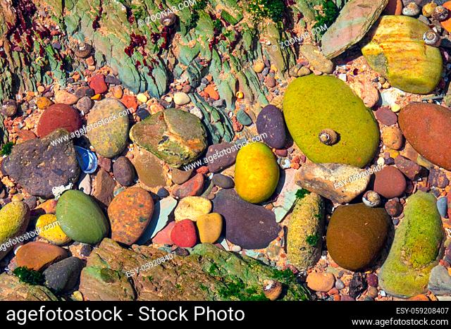 Close-up view of multicolored pebble on sea beach under clear water of shallow background