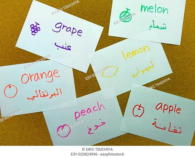 Language Flash Cards Arabic