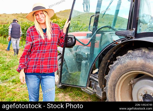 Frau als Erntehelfer am Traktor bei der Weinernte im Weinberg im Herbst