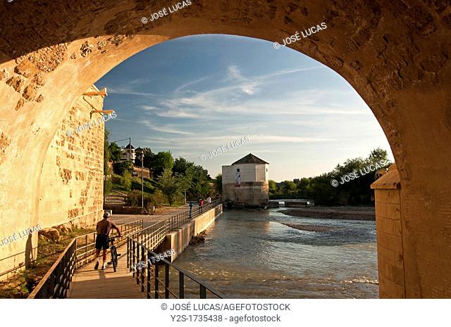 Guadalquivir river and Roman Bridge, Cordoba, Spain