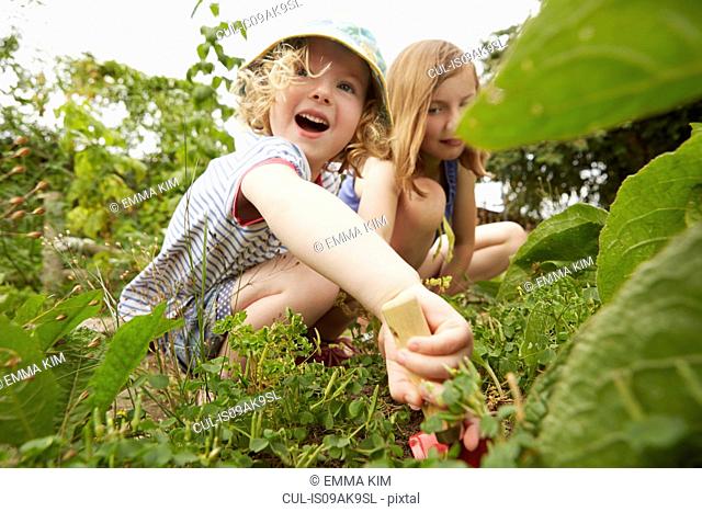 Two sisters crouching and digging in garden