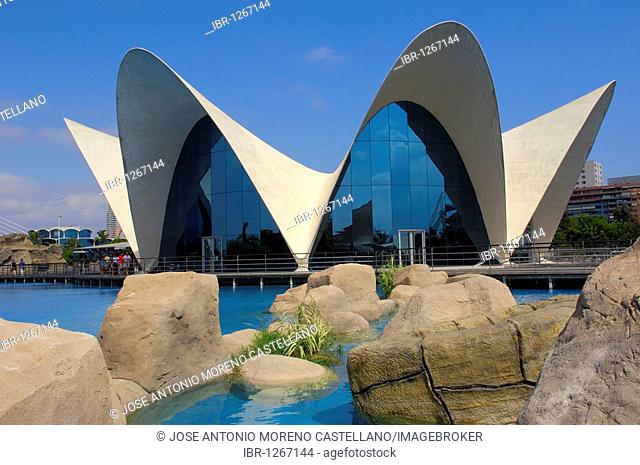 L'Oceanogràfic aquarium, City of Arts and Sciences by S. Calatrava, Valencia, Comunidad Valenciana, Spain, Europe