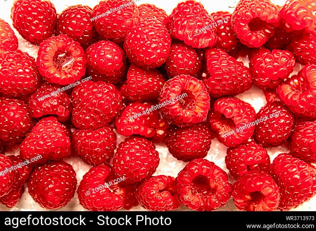 Red bright tasty raspberry with waterdrops flat view