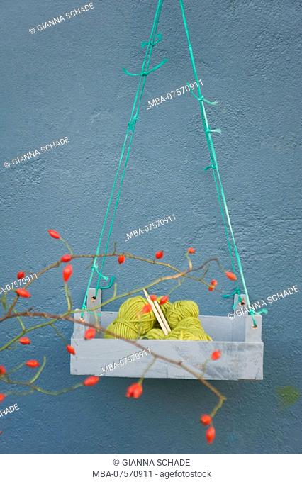 Rosehip branches with wool in box