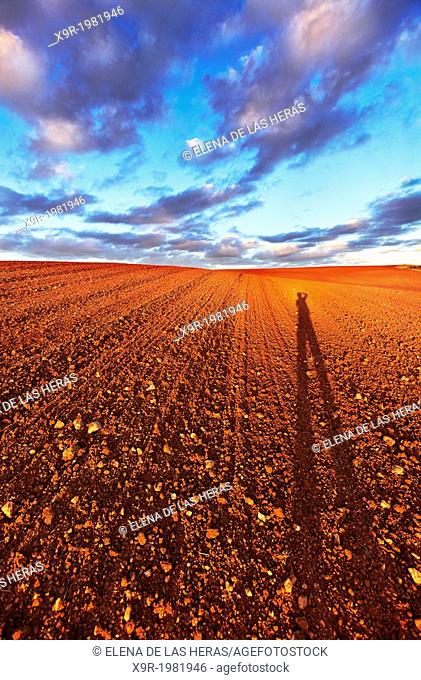 Red ploughed field landscape. Northwest of Guadalajara province. Castille La Mancha. Spain