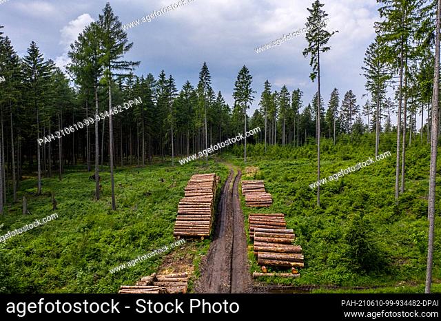 09 June 2021, Saxony, Pockau-Lengefeld: Tree trunks lie on several piles in a bare forest area on a ridge in the Ore Mountains