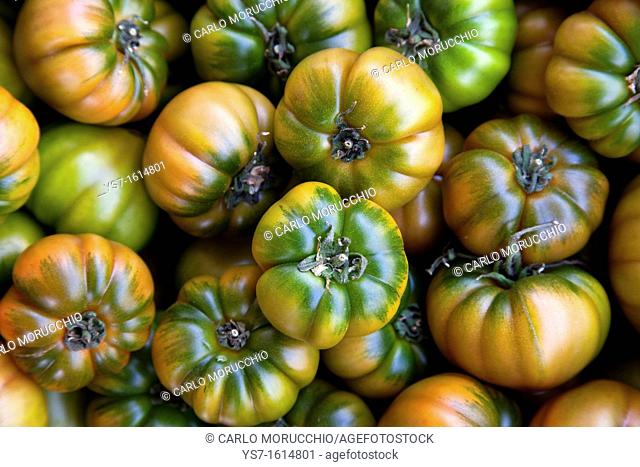 Fresh tomatoes sold at the street market of Campo dei Fiori, Rome, Lazio, Italy, Europe
