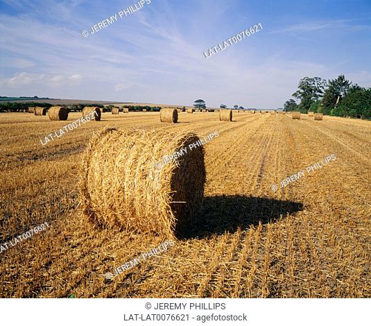 Harvesting is the process of gathering mature crops from the fields, marking the end of the growing season. Round bales of straw are produced by the use of a...