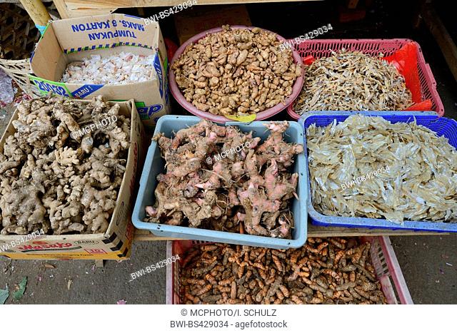 ginger, common ginger, cooking ginger, Canton ginger (Zingiber officinale), different varieties of ginger and dried fieshed for sale on a market in Seririt