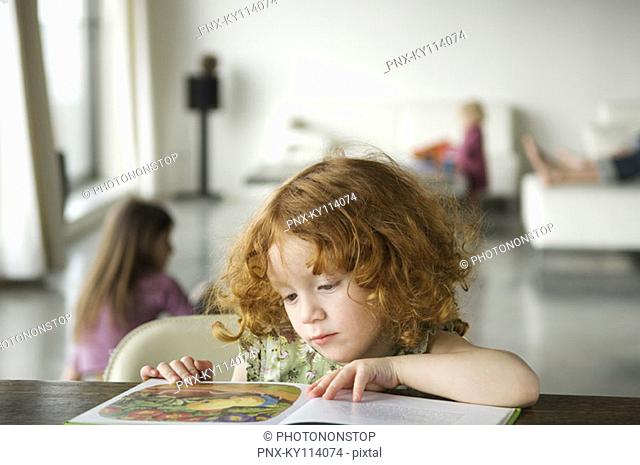 Little girl reading a book, at home