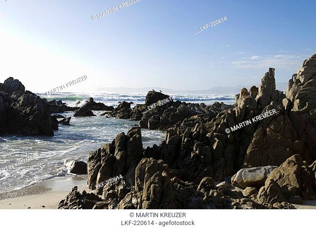 View at rocks and surge in the sunlight, Walker Bay, Gansbaai, Western Cape, South Africa, Africa